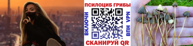 Галлюциногенные грибы Psilocybine cubensis где можно купить Валуйки