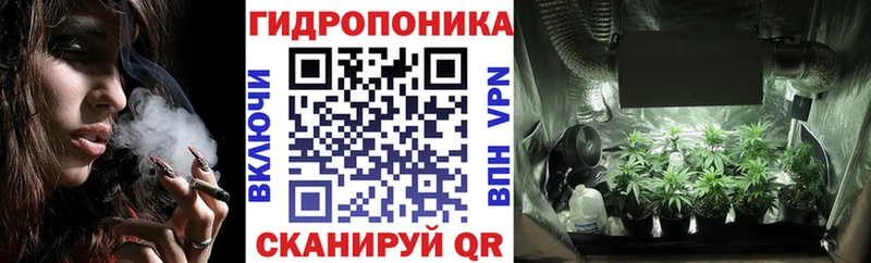 Конопля MAZAR  Валуйки 